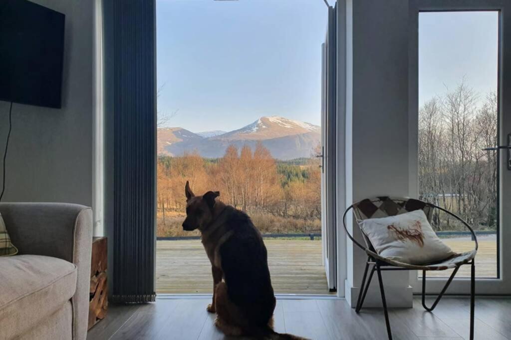 Ben Nevis Scotland Highlands, Camden House Luxury Home Fort William Buitenkant foto