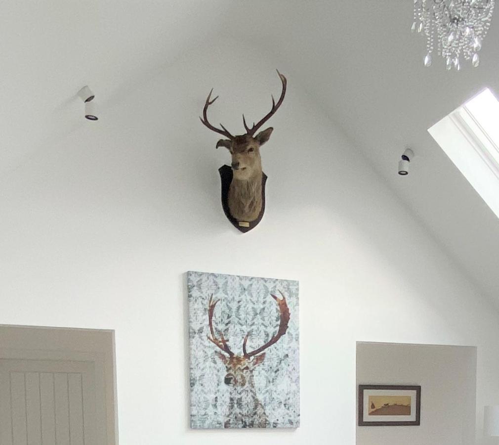 Ben Nevis Scotland Highlands, Camden House Luxury Home Fort William Buitenkant foto